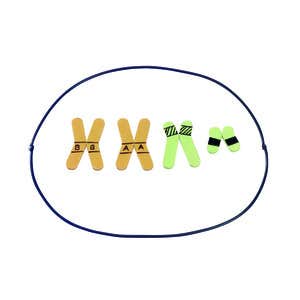 Genetics