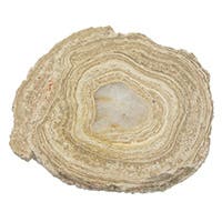 Rocks