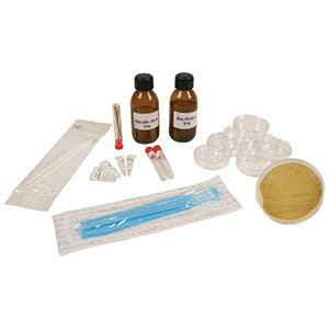 Biotechnologie et transgène