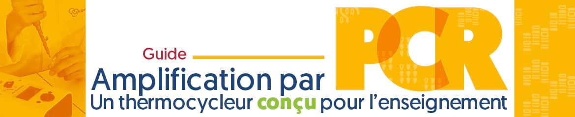 Enseigner la PCR