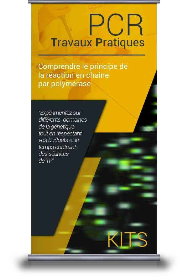 Travaux pratiques sur la PCR