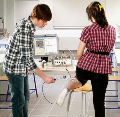 Atelier Scientifique : Reflexe myotatique